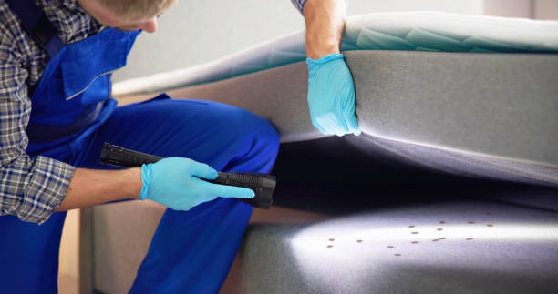 Best Exterminator Services  in Maili, HI