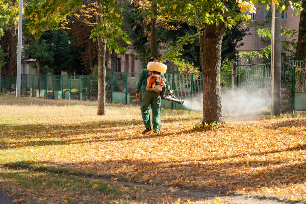 Best Pest Removal Services  in Maili, HI